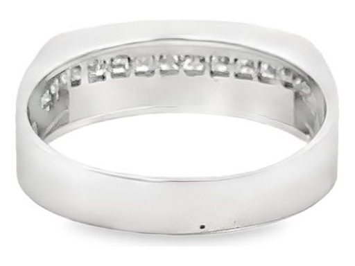 18K White Gold Men's Band with Channel-Set Natural Princess Cut Diamonds